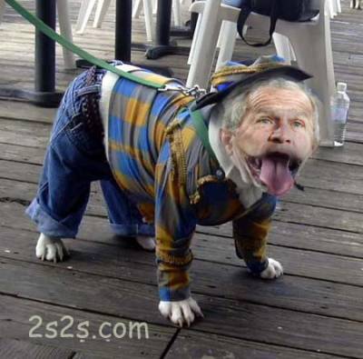 voi�i un chien pas comme les autre