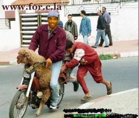 a hiya hane dawezou m3ake l3ide